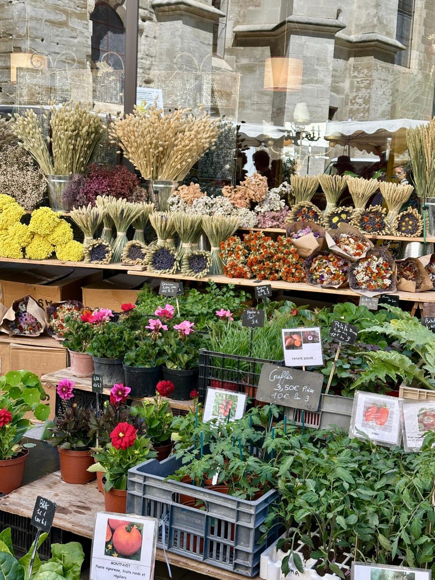 Zen A L Isle L'Isle-sur-la-Sorgue Kültér fotó